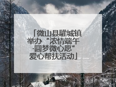 微山县驩城镇举办“浓情端午·圆梦微心愿”爱心帮扶活动