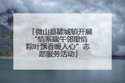 微山县驩城镇开展“情系端午邻里情 粽叶飘香暖人心”志愿服务活动