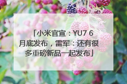 小米官宣：YU7 6月底发布，雷军：还有很多重磅新品一起发布