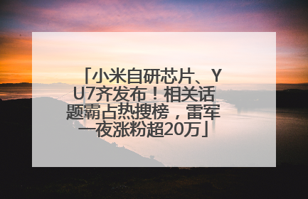 小米自研芯片、YU7齐发布！相关话题霸占热搜榜，雷军一夜涨粉超20万