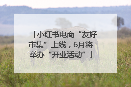 小红书电商“友好市集”上线，6月将举办“开业活动”