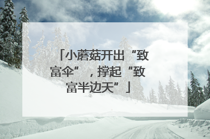 小蘑菇开出“致富伞”，撑起“致富半边天”