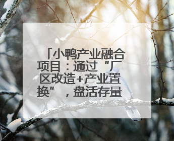 小鸭产业融合项目：通过“厂区改造+产业置换”，盘活存量，增值增效