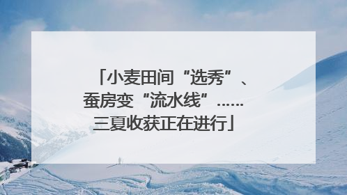 小麦田间“选秀”、蚕房变“流水线”……三夏收获正在进行