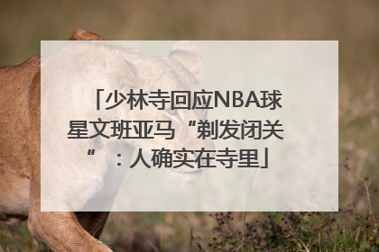 少林寺回应NBA球星文班亚马“剃发闭关”：人确实在寺里