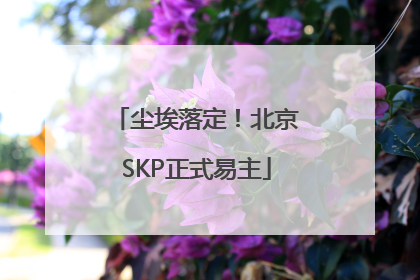 尘埃落定！北京SKP正式易主
