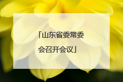 山东省委常委会召开会议