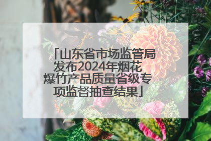 山东省市场监管局发布2024年烟花爆竹产品质量省级专项监督抽查结果
