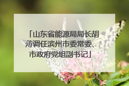 山东省能源局局长胡薄调任滨州市委常委、市政府党组副书记