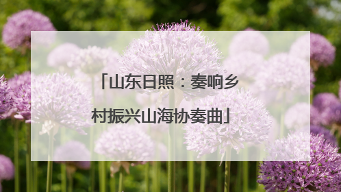 山东日照：奏响乡村振兴山海协奏曲