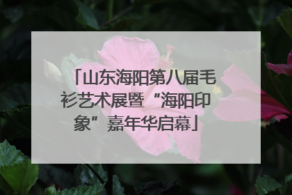 山东海阳第八届毛衫艺术展暨“海阳印象”嘉年华启幕