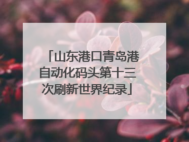 山东港口青岛港自动化码头第十三次刷新世界纪录