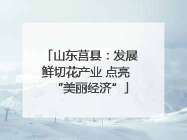 山东莒县：发展鲜切花产业 点亮“美丽经济”