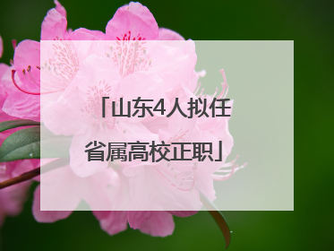 山东4人拟任省属高校正职