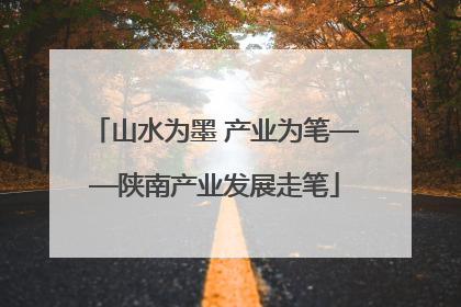 山水为墨 产业为笔——陕南产业发展走笔