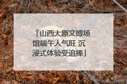 山西太原文博场馆端午人气旺 沉浸式体验受追捧