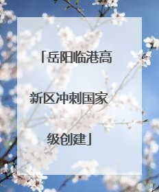 岳阳临港高新区冲刺国家级创建