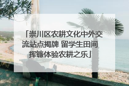 崇川区农耕文化中外交流站点揭牌 留学生田间挥镰体验农耕之乐