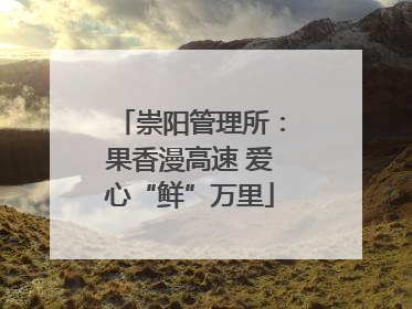 崇阳管理所：果香漫高速 爱心“鲜”万里