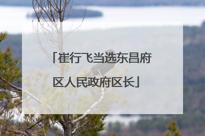 崔行飞当选东昌府区人民政府区长