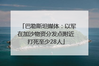 巴勒斯坦媒体：以军在加沙物资分发点附近打死至少28人