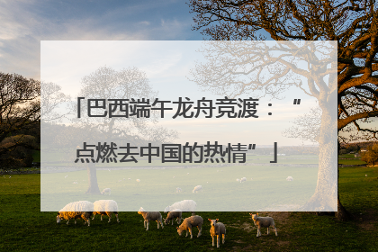 巴西端午龙舟竞渡：“点燃去中国的热情”