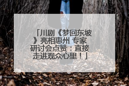 川剧《梦回东坡》亮相惠州 专家研讨会点赞：直接走进观众心里！