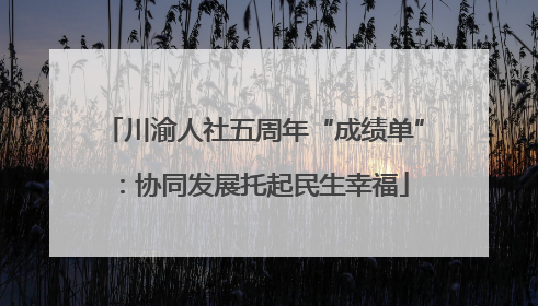 川渝人社五周年“成绩单”：协同发展托起民生幸福
