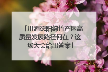 川酒德阳绵竹产区高质量发展路径何在？这场大会给出答案