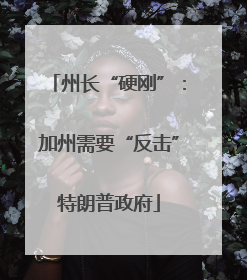 州长“硬刚”：加州需要“反击”特朗普政府