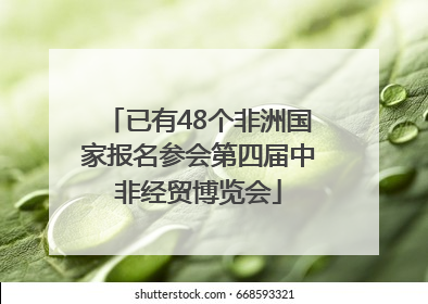 已有48个非洲国家报名参会第四届中非经贸博览会