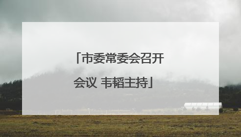 市委常委会召开会议 韦韬主持