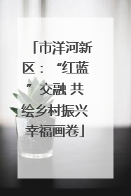 市洋河新区：“红蓝”交融 共绘乡村振兴幸福画卷