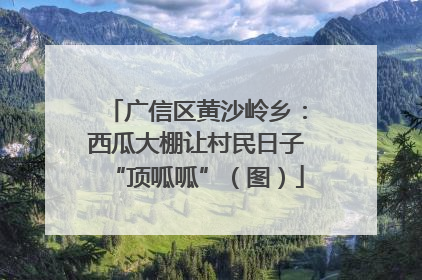 广信区黄沙岭乡：西瓜大棚让村民日子“顶呱呱”（图）