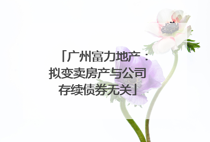 广州富力地产：拟变卖房产与公司存续债券无关