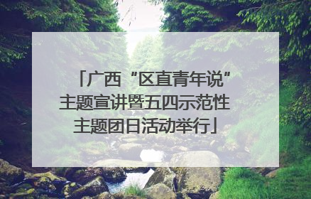 广西“区直青年说”主题宣讲暨五四示范性主题团日活动举行