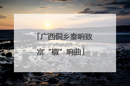 广西侗乡奏响致富“椒”响曲