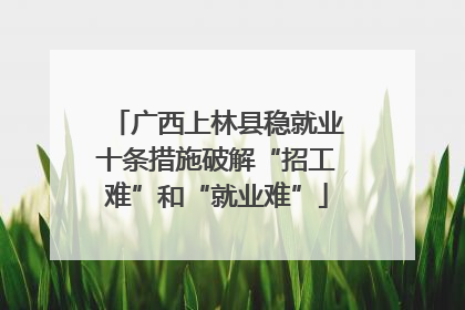 广西上林县稳就业十条措施破解“招工难”和“就业难”