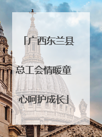 广西东兰县总工会情暖童心呵护成长