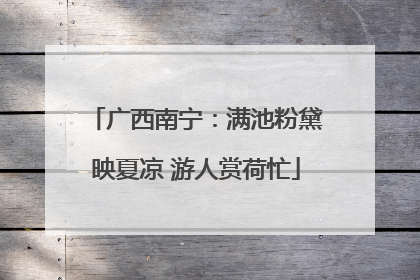 广西南宁：满池粉黛映夏凉 游人赏荷忙