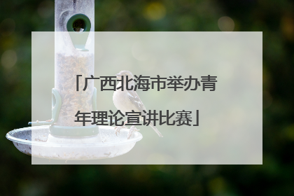 广西北海市举办青年理论宣讲比赛