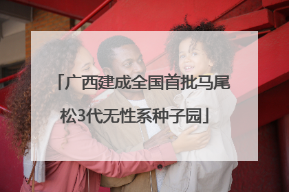 广西建成全国首批马尾松3代无性系种子园