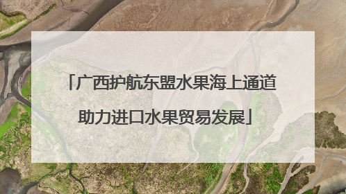 广西护航东盟水果海上通道 助力进口水果贸易发展