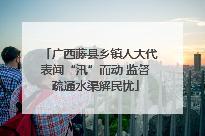 广西藤县乡镇人大代表闻“汛”而动 监督疏通水渠解民忧