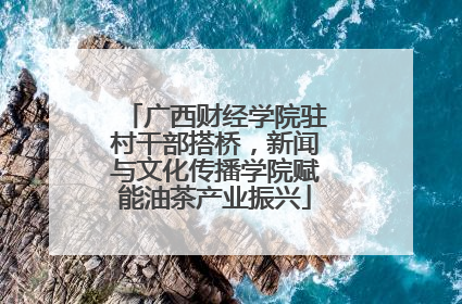 广西财经学院驻村干部搭桥，新闻与文化传播学院赋能油茶产业振兴