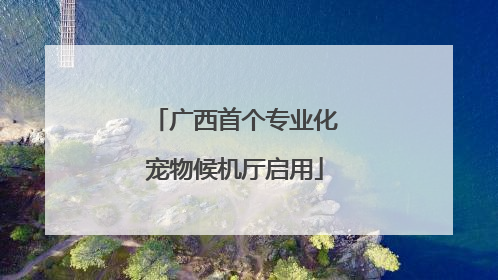 广西首个专业化宠物候机厅启用