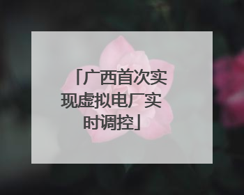 广西首次实现虚拟电厂实时调控