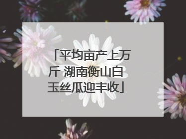 平均亩产上万斤 湖南衡山白玉丝瓜迎丰收