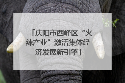 庆阳市西峰区“火辣产业”激活集体经济发展新引擎