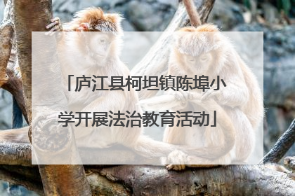 庐江县柯坦镇陈埠小学开展法治教育活动
